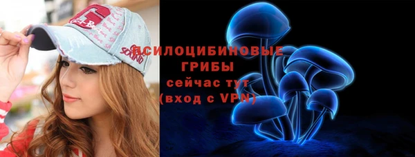 таблы Алзамай