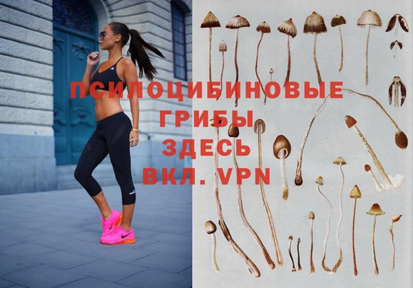 метадон Алексеевка
