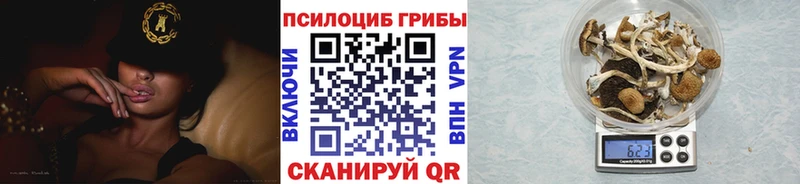 Галлюциногенные грибы мухоморы  где купить наркоту  МЕГА вход  Уссурийск 